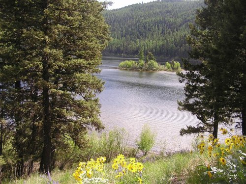 A serene lake surrounded by lush green trees and wildflowers, reflecting the peaceful landscape.