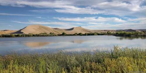 A serene landscape featuring a calm lake, sandy dunes, and lush greenery under a blue sky with scattered clouds.