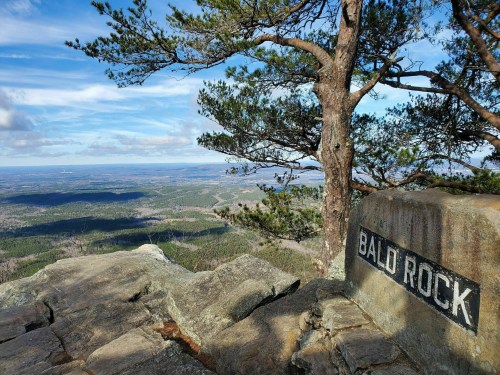 A scenic view from Bald Rock, featuring a rocky outcrop and a tree overlooking a vast landscape under a blue sky.