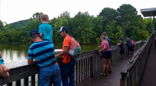 A group of people fishing from a wooden dock by a calm lake, surrounded by trees and greenery.