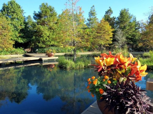 A serene pond surrounded by colorful autumn foliage and vibrant flowers in a peaceful garden setting.