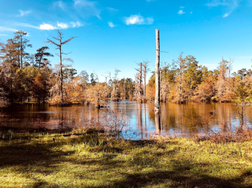 A serene lake surrounded by trees, with a clear blue sky and autumn foliage reflecting on the water's surface.