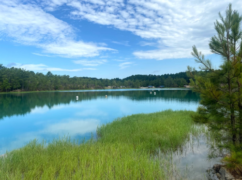 A serene lake surrounded by green grass and trees, reflecting a blue sky with scattered clouds.