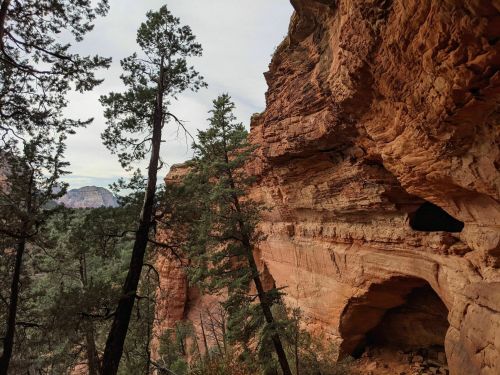 Rocky cliffside with tall pine trees, showcasing layered red rock formations and a glimpse of a valley in the background.