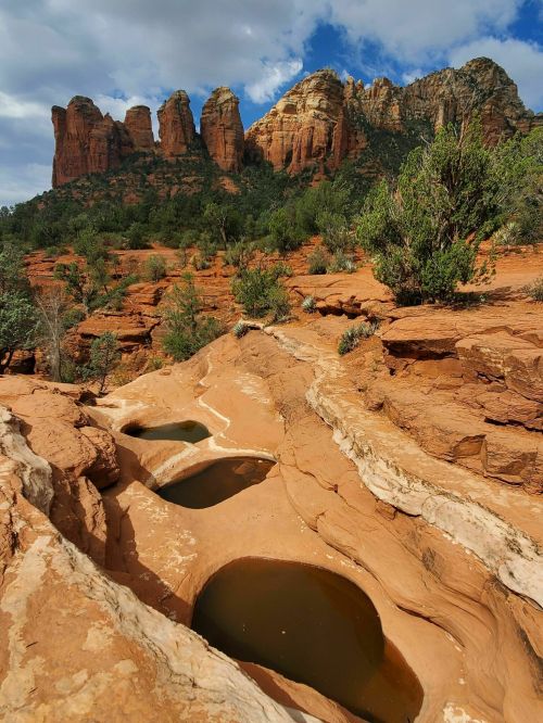 Rocky landscape with pools of water, surrounded by lush greenery and towering red rock formations under a cloudy sky.