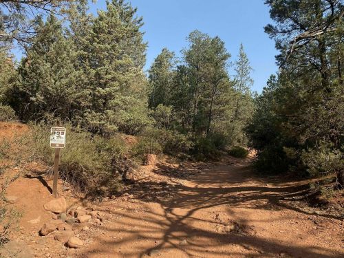 A dirt trail surrounded by trees and shrubs, with a signpost indicating trail information.