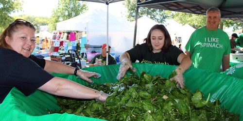 Three people are working together to mix fresh spinach in a large green container at an outdoor market.