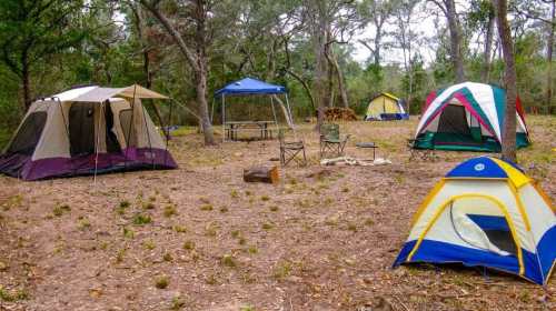 A campsite with several tents, a picnic table, and chairs surrounded by trees in a natural setting.