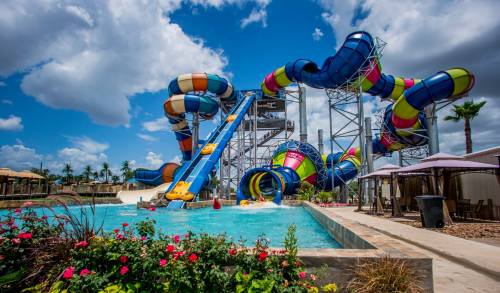 Colorful water slides twist above a pool area, surrounded by palm trees and blooming flowers under a blue sky.