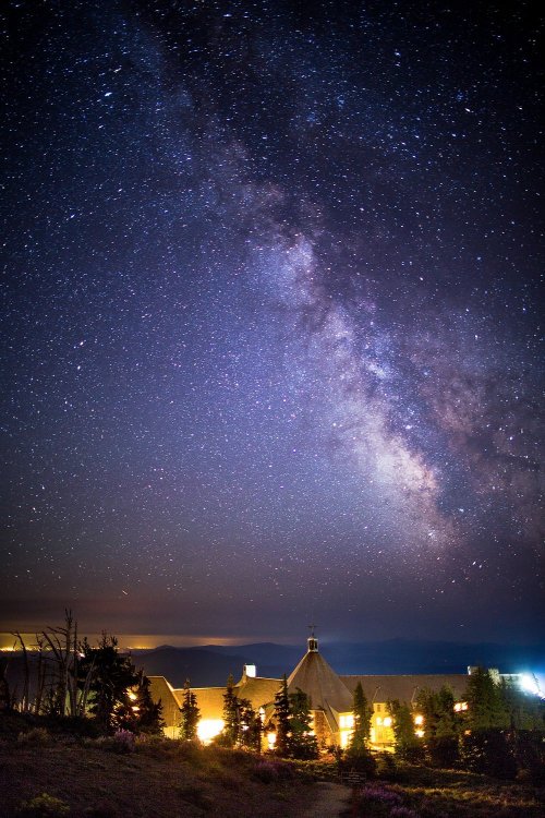 A starry night sky filled with the Milky Way above a lodge surrounded by trees.