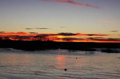 Sunset over a calm lake, with vibrant orange and purple hues reflecting on the water and silhouetted trees in the background.