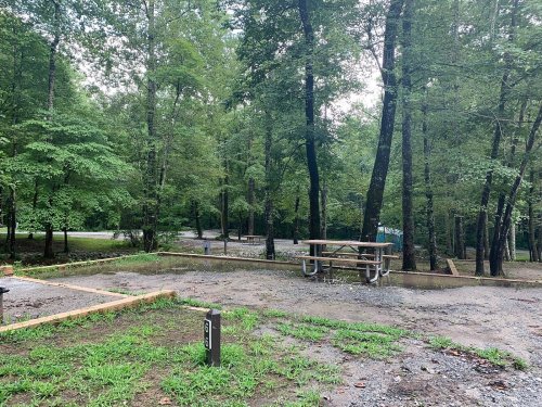 A wooded area with picnic tables and gravel paths, surrounded by lush green trees and a cloudy sky.