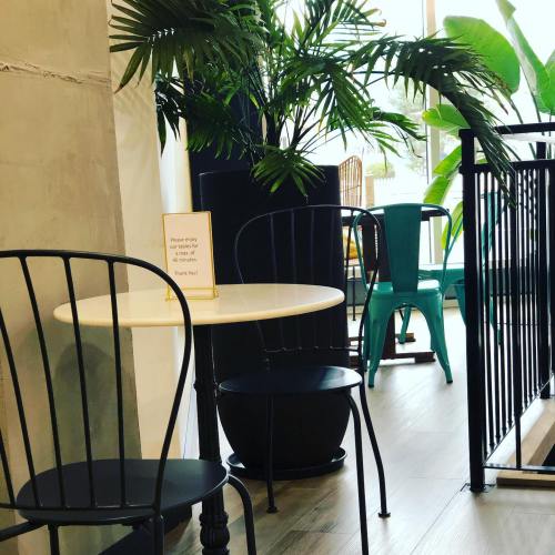 A cozy café setting with a round table, chairs, and lush green plants in a bright, airy space.
