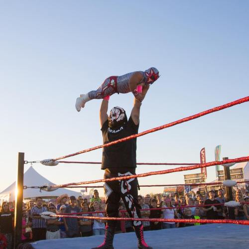 A wrestler lifts another wrestler upside down in a ring, with a crowd watching in the background during a sunny event.