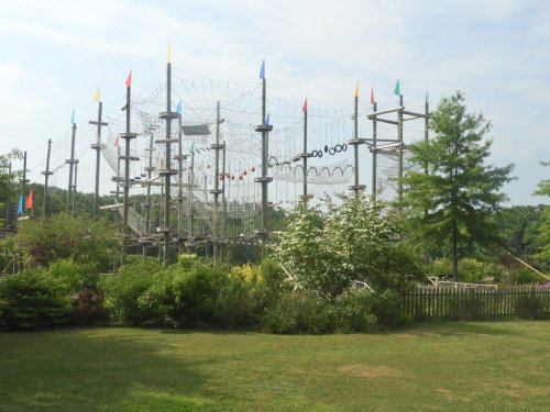 A high ropes course with colorful flags, surrounded by greenery and trees on a sunny day.