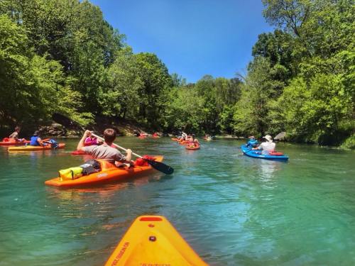 A group of people kayaking on a clear river surrounded by lush green trees under a bright blue sky.