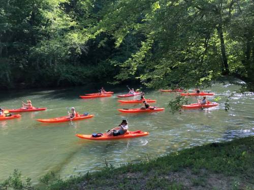 A group of people kayaking in orange kayaks on a calm river surrounded by lush green trees.