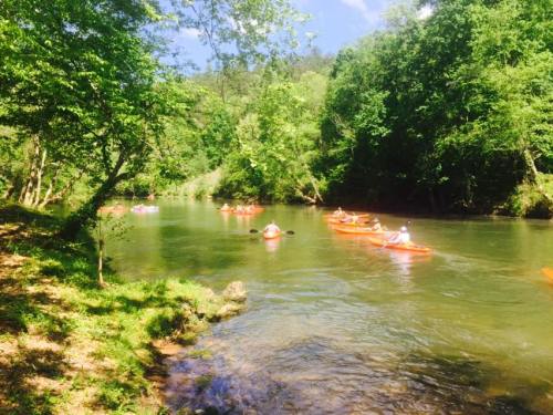 A group of kayakers paddles down a serene river surrounded by lush green trees on a sunny day.