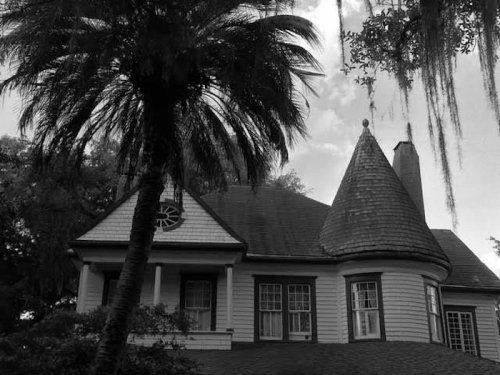 A vintage-style house with a conical roof, surrounded by palm trees and draped with Spanish moss, in black and white.