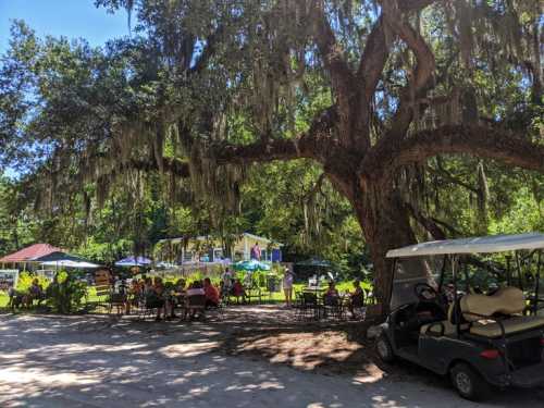 A shaded outdoor area with people sitting at tables under trees, a golf cart parked nearby, and a building in the background.