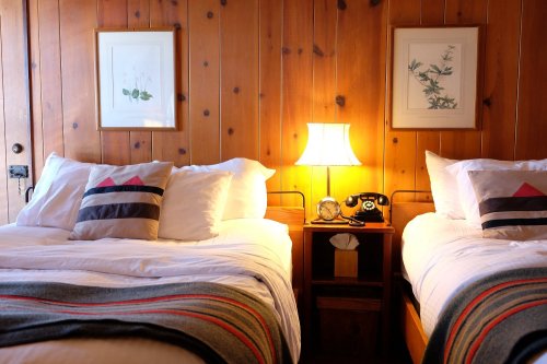 Cozy bedroom with two beds, wooden walls, a lamp, vintage phone, and framed botanical art.