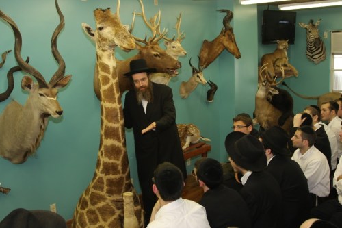 A man in traditional attire speaks to a group of seated individuals, with mounted animal heads on the wall behind them.