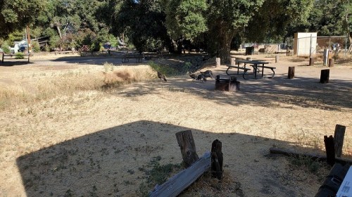 A dry, grassy area with picnic tables and scattered logs under trees in a park setting.