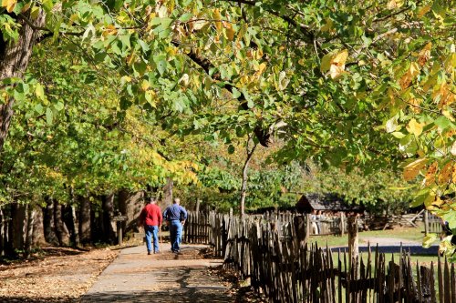 Two people walk along a tree-lined path, surrounded by vibrant autumn foliage and a rustic wooden fence.