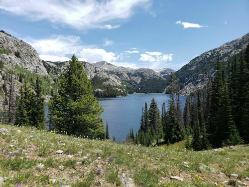 A serene lake surrounded by mountains and lush greenery under a clear blue sky. Wildflowers dot the foreground.