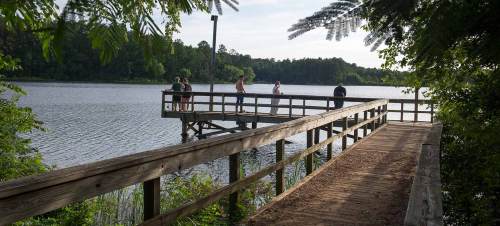 A wooden pier extends over a calm lake, with people fishing and enjoying the scenery surrounded by trees.