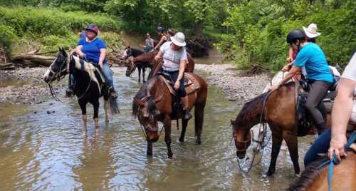 A group of people on horseback crossing a shallow stream surrounded by lush greenery.