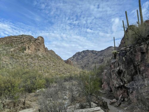 A scenic desert landscape featuring mountains, cacti, and a cloudy sky.