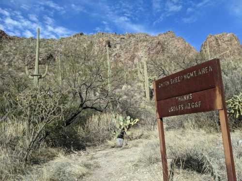 Sign for the Bighorn Sheep Management Area in a desert landscape with cacti and mountains in the background.