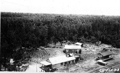 Aerial view of a rural area with several buildings, fields, and dense forest in the background. Black and white photo.