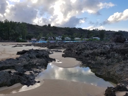 A rocky beach scene with shallow water pools, palm trees, and a cloudy sky in the background.