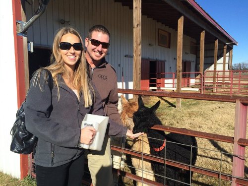 A man and woman stand by a fence, smiling and interacting with two llamas on a sunny day at a farm.