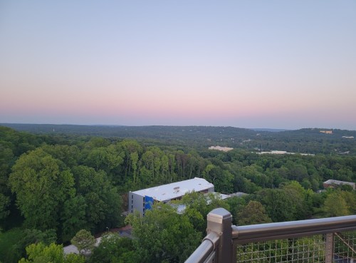 A scenic view of lush green trees and a distant horizon at dusk, with a soft pastel sky.