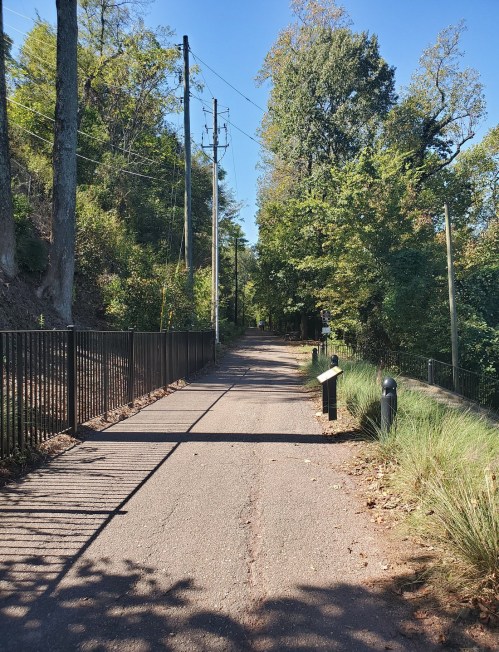 A tree-lined path with a gravel surface, flanked by a black fence and utility poles under a clear blue sky.