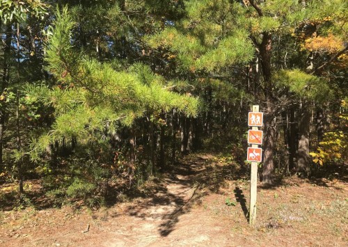 A wooded trail entrance with signs indicating hiking, no motor vehicles, and no bicycles.