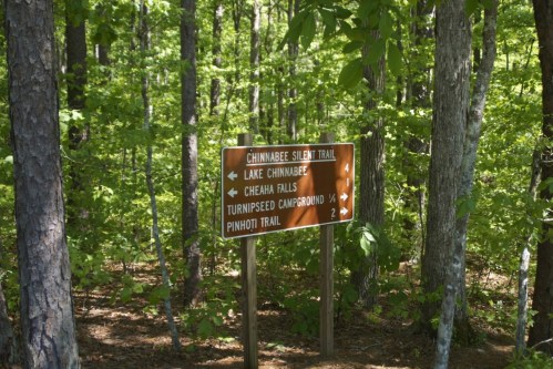 Wooden trail sign in a forest, indicating directions to Chinnabee Silent Trail, Lake Chinnabee, and other locations.