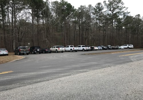 A parking area with several vehicles lined up along a tree-lined road.