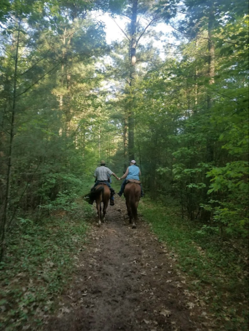 Two people riding horses hand in hand along a wooded trail, surrounded by lush green trees.