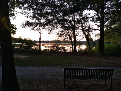 A serene lakeside view at sunset, framed by trees, with a bench in the foreground.