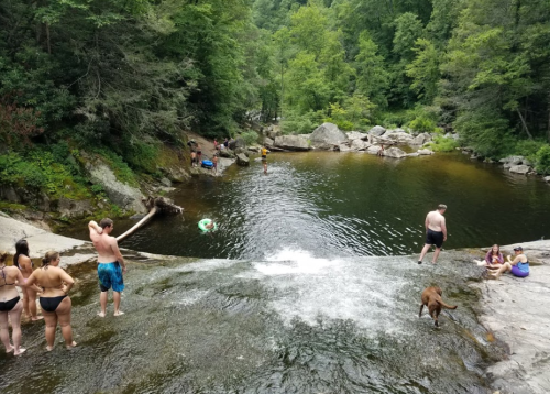 People enjoying a natural swimming area with a waterfall, surrounded by trees and rocks. A dog is playing nearby.
