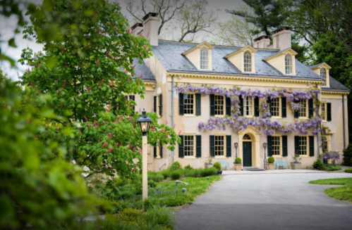 A charming two-story house with yellow walls, black shutters, and purple flowers cascading from the windows, surrounded by greenery.