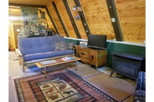 Cozy living room with wooden walls, a sofa, TV, coffee table, and a decorative rug featuring animal motifs.