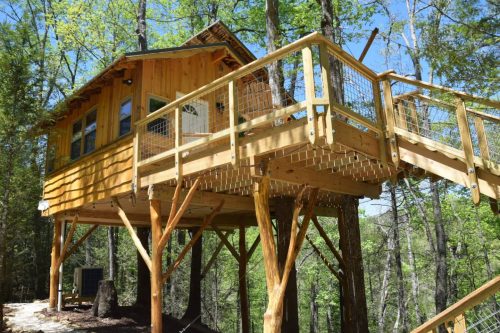A wooden treehouse elevated on stilts, surrounded by lush green trees and a clear blue sky.