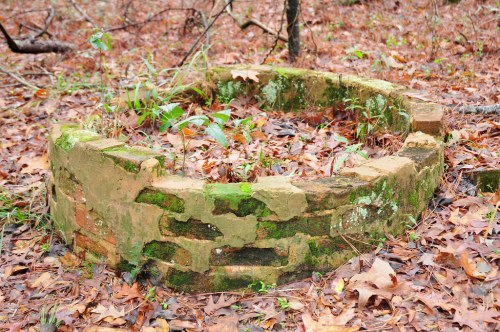 A circular, moss-covered stone structure surrounded by fallen leaves and small plants in a wooded area.