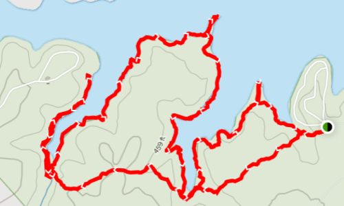 Map showing a winding red trail along a lake, with elevation markers and surrounding green areas.