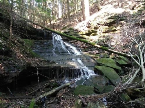 A serene waterfall cascades over rocks in a wooded area, surrounded by trees and fallen branches.